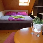 Wellness Apartment Vlckova