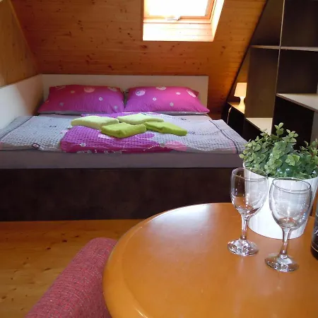 Wellness Apartment Vlckova