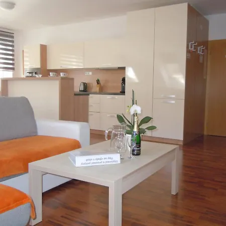 Wellness Apartment Vlckova