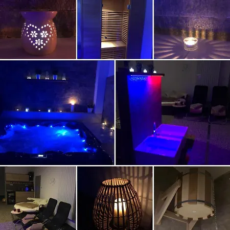 Apartment Wellness Vlckova