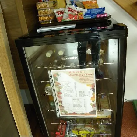 Apartment Wellness Vlckova