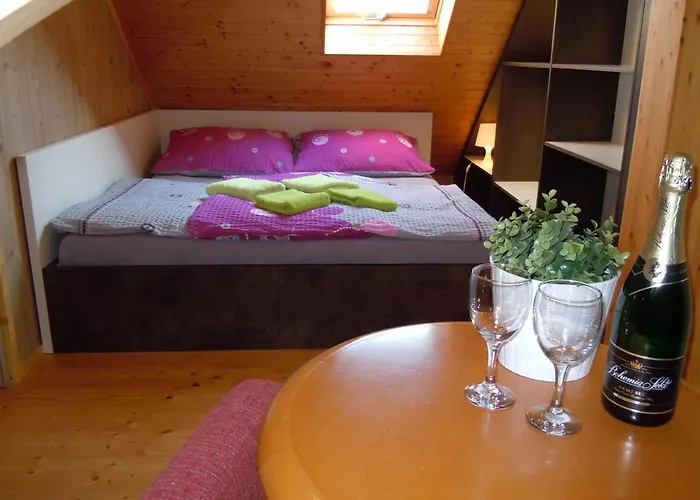 Wellness Apartamento Vlckova
