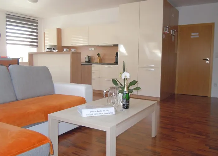 Wellness Apartament Vlckova
