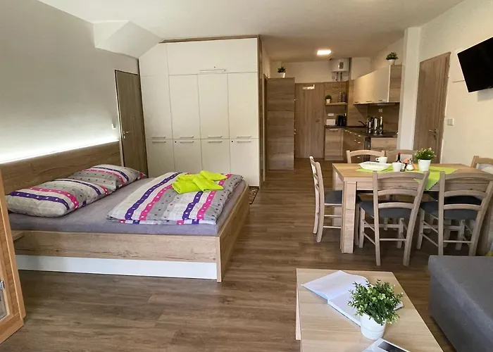 Apartament Wellness