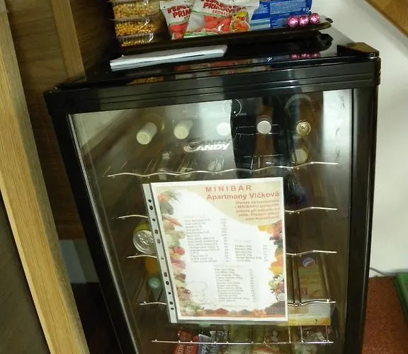 Apartament Wellness Vlckova