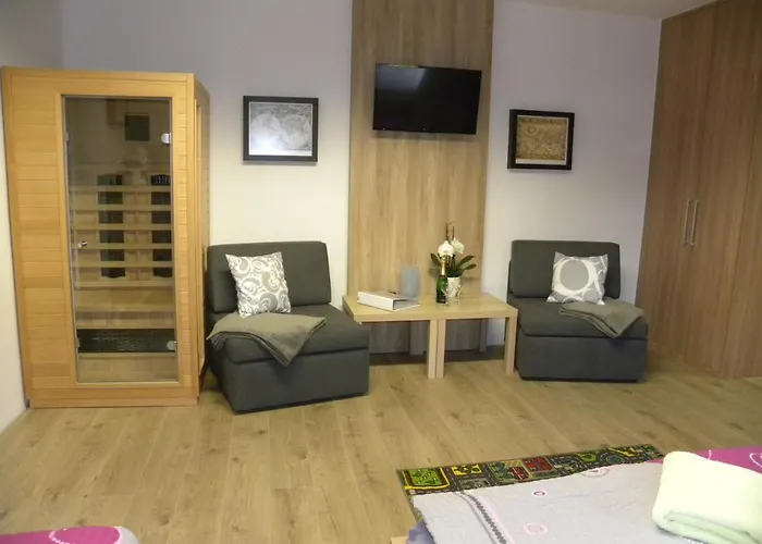 Apartament Wellness Vlckova